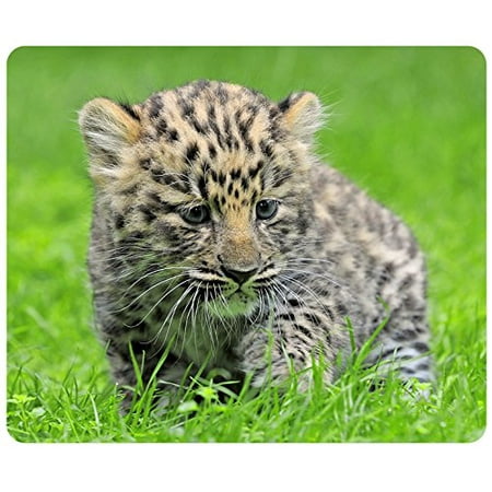 POPCreation Amur Leopard Cub Cute Mouse pads Gaming Mouse Pad 9.84x7.87 inches
POPCreation Amur Leopard Cub Cute Mouse pads Gaming Mouse Pad 9.84x7.87 inches