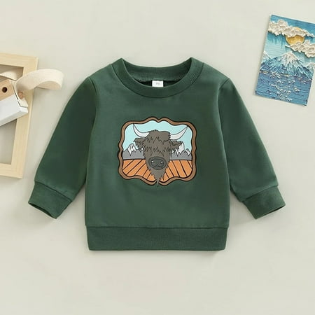 RPVATI Infant Toddler Baby Boy Girl Long Sleeve Sweatshirt Crewneck Pullover Cartoon Print Sweater 0M-3Y
RPVATI Infant Toddler Baby Boy Girl Long Sleeve Sweatshirt Crewneck Pullover Cartoon Print Sweater 0M-3Y