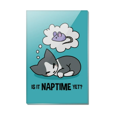 Is It Cat Naptime Yet Dreaming Rectangle Acrylic Fridge Refrigerator Magnet