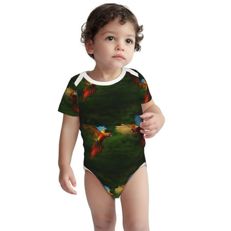 Fotbe Hybrid Parrot in the Forest Pattern Unisex-baby Short-sleeve Bodysuit Short Sleeve Bodysuits One-piece 100% Organic Cotton for Infant Baby Boys Unisex-18 Months
Fotbe Hybrid Parrot in the Forest Pattern Unisex-baby Short-sleeve Bodysuit Short Sleeve Bodysuits One-piece 100% Organic Cotton for Infant Baby Boys Unisex-18 Months
