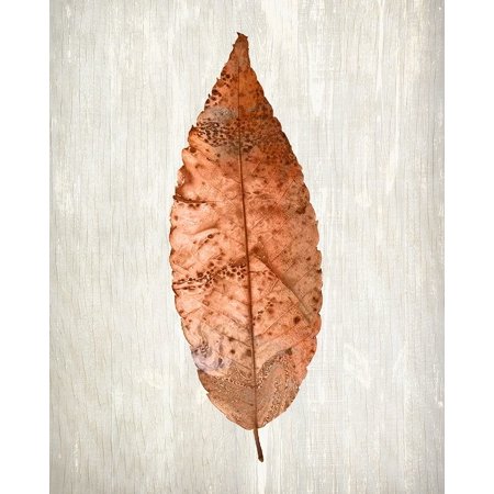 Copper Leaves 1 Poster Print by Allen Kimberly