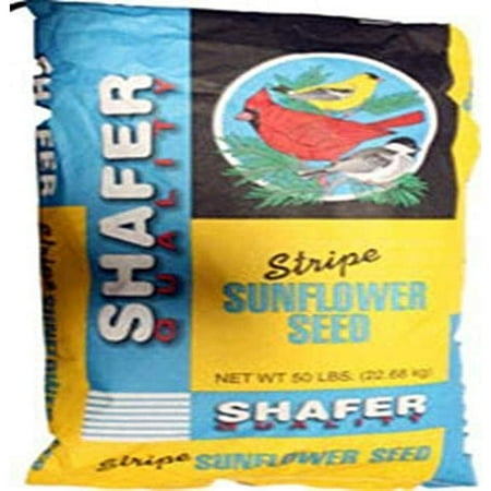 Jiaiun Company 114138 Sunflower Seed-Striped