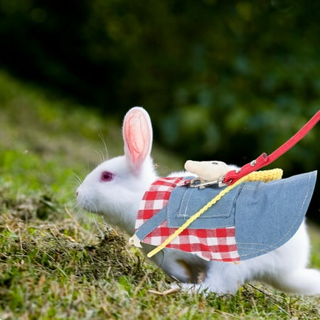 Rabbit Clothes 1 Set of Adorable Bunny Outfit with Hat and Traction Rope Rabbit Garment
Rabbit Clothes 1 Set of Adorable Bunny Outfit with Hat and Traction Rope Rabbit Garment
