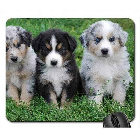 POPCreation Australian shepherd puppies Mouse pads Gaming Mouse Pad 9.84x7.87 inches
POPCreation Australian shepherd puppies Mouse pads Gaming Mouse Pad 9.84x7.87 inches