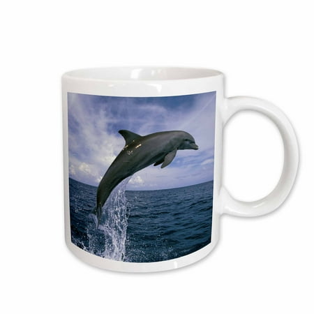 3dRose Honduras. Bottlenose Dolphin - SA12 SWE0053 - Stuart Westmorland Ceramic Mug 15-ounce
3dRose Honduras. Bottlenose Dolphin - SA12 SWE0053 - Stuart Westmorland Ceramic Mug 15-ounce