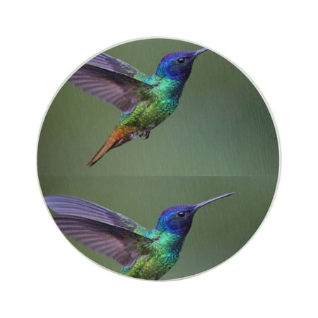 Circular Drink Coasters Set Colorful Hummingbird Beautiful Home Decor Diatomite Heat-Resistant Diatomite Protect Table Countertop
Circular Drink Coasters Set Colorful Hummingbird Beautiful Home Decor Diatomite Heat-Resistant Diatomite Protect Table Countertop