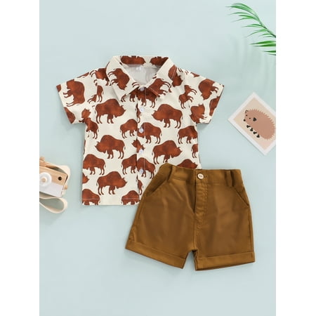 Kids Toddler Baby Boys Short Sleeve Button Down Shirt Shorts Suits 2T 3T 4T 5T 6T Outfits Summer Clothes Gentleman 2-Piece Set