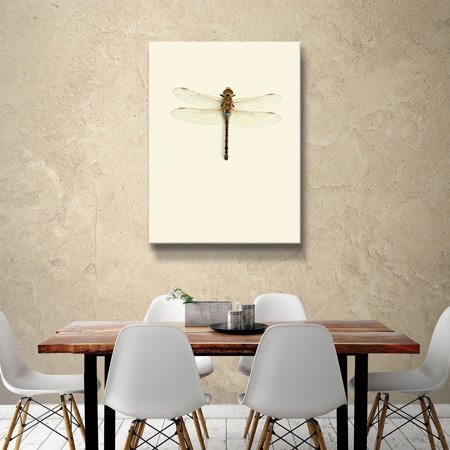 ArtWall 'Dragonfly' Gallery Wrapped Canvas
