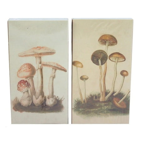 Mushroom Matches