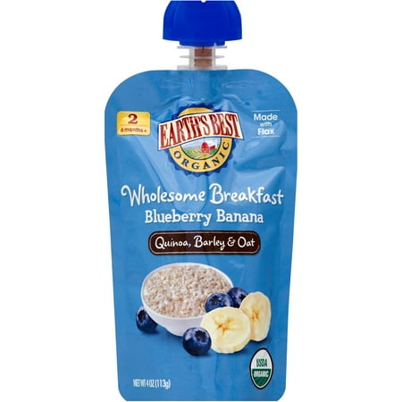 Earth's Best Organic Wholesome Breakfast Blueberry Banana Pouch, 4 oz