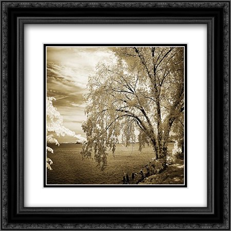 Hopewell Shores II 2x Matted 20x20 Black Ornate Framed Art Print by Hausenflock, Alan