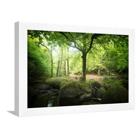 Huelgoat Forest Bretagne Framed Print Wall Art By Philippe Manguin