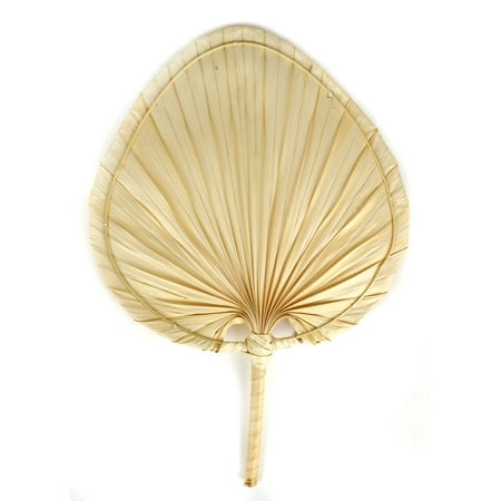 Touch of Nature 12 Palm Leaf Fan 6 pcs