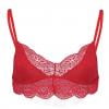 RPVATI Womens Comfort Seamless Bralette Wireless Triangle Plus Size Spaghetti Strap Bras for Women Soft Seamless Lace Bra
RPVATI Womens Comfort Seamless Bralette Wireless Triangle Plus Size Spaghetti Strap Bras for Women Soft Seamless Lace Bra