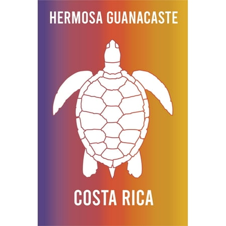Hermosa Guanacaste Costa Rica Souvenir 2x3 Inch Fridge Magnet Turtle Design