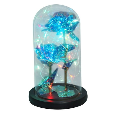 Beauty and The Rose Enchanted Flower with LED Light &Red Roses. Birthday