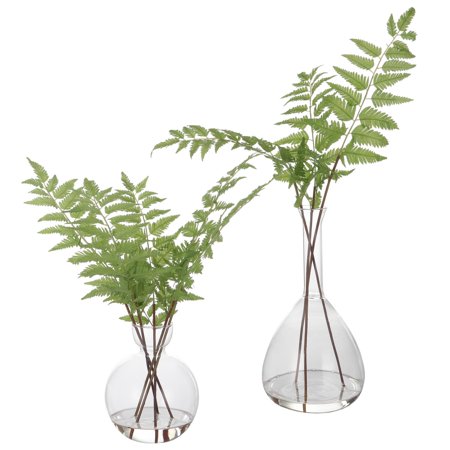 Uttermost Country Polyester And Plastic Set Of 2 Ferns 60202