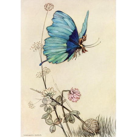 The Fairy Book 1913 The butterfly took wing Poster Print by Warwick Goble