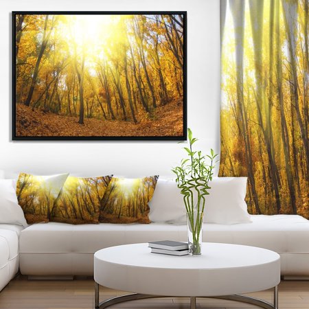 DESIGN ART Designart 'Yellow Autumn Forest in Sunlight' Forest Framed Canvas Art Print