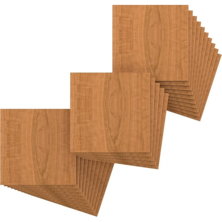 Ekena Millwork 11 3/4 W x 11 3/4 H x 3/8 T Wood Hobby Boards Cherry (25-Pack)
Ekena Millwork 11 3/4 W x 11 3/4 H x 3/8 T Wood Hobby Boards Cherry (25-Pack)