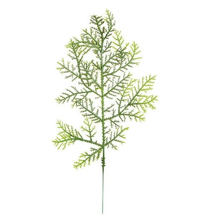 COFEST 30pc Christmas Branches Norfolk Artificial Christmas Branches DIY Crafts Faux Christmas Norfolk Branches For Xmas Indoor Outdoor Home Decor Green
COFEST 30pc Christmas Branches Norfolk Artificial Christmas Branches DIY Crafts Faux Christmas Norfolk Branches For Xmas Indoor Outdoor Home Decor Green