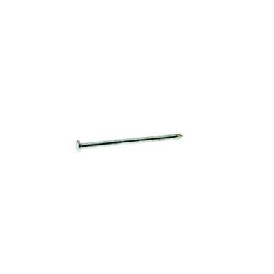 12pk Grip-Rite 20HGC1 Hot-Dipped Galvanized Common Nail Steel 1 lb