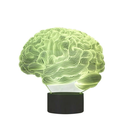 Egmy 3D Human Brain -Cerebellum Model Table Lamp 7 Color Changing LED Night Light Gift
Egmy 3D Human Brain -Cerebellum Model Table Lamp 7 Color Changing LED Night Light Gift