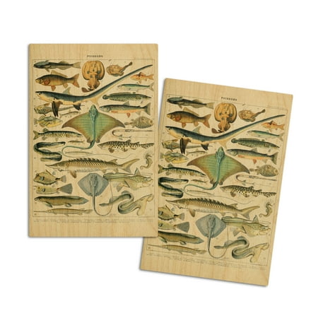 Fish B Vintage Bookplate Adolphe Millot Artwork (4x6 Birch Wood Postcards 2-Pack Stationary Rustic Home Wall Decor)
Fish B Vintage Bookplate Adolphe Millot Artwork (4x6 Birch Wood Postcards 2-Pack Stationary Rustic Home Wall Decor)