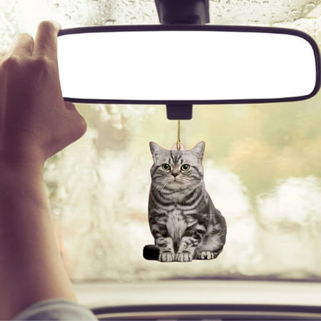 Shpwfbe Ornaments Commemorative Coins Car Animal Decoration Double Sided Printing Acrylic Pendant Ornament wall decor christmas
Shpwfbe Ornaments Commemorative Coins Car Animal Decoration Double Sided Printing Acrylic Pendant Ornament wall decor christmas