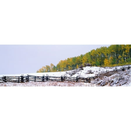 Snowy fence and aspens near Ridgeway Colorado Canvas Art - Panoramic Images (36 x 12)