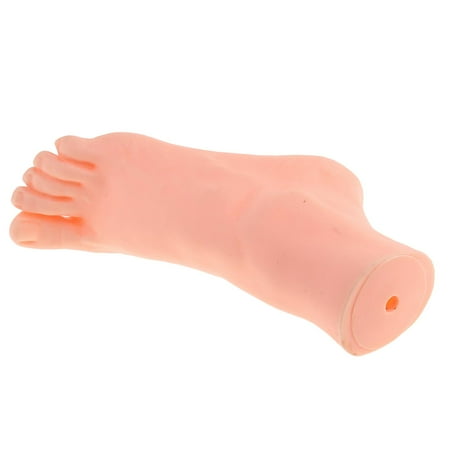 Goodhd 9.4 Inch Male Right Foot Model Shoes Sandals Socks High Quality Silicone Display
Goodhd 9.4 Inch Male Right Foot Model Shoes Sandals Socks High Quality Silicone Display