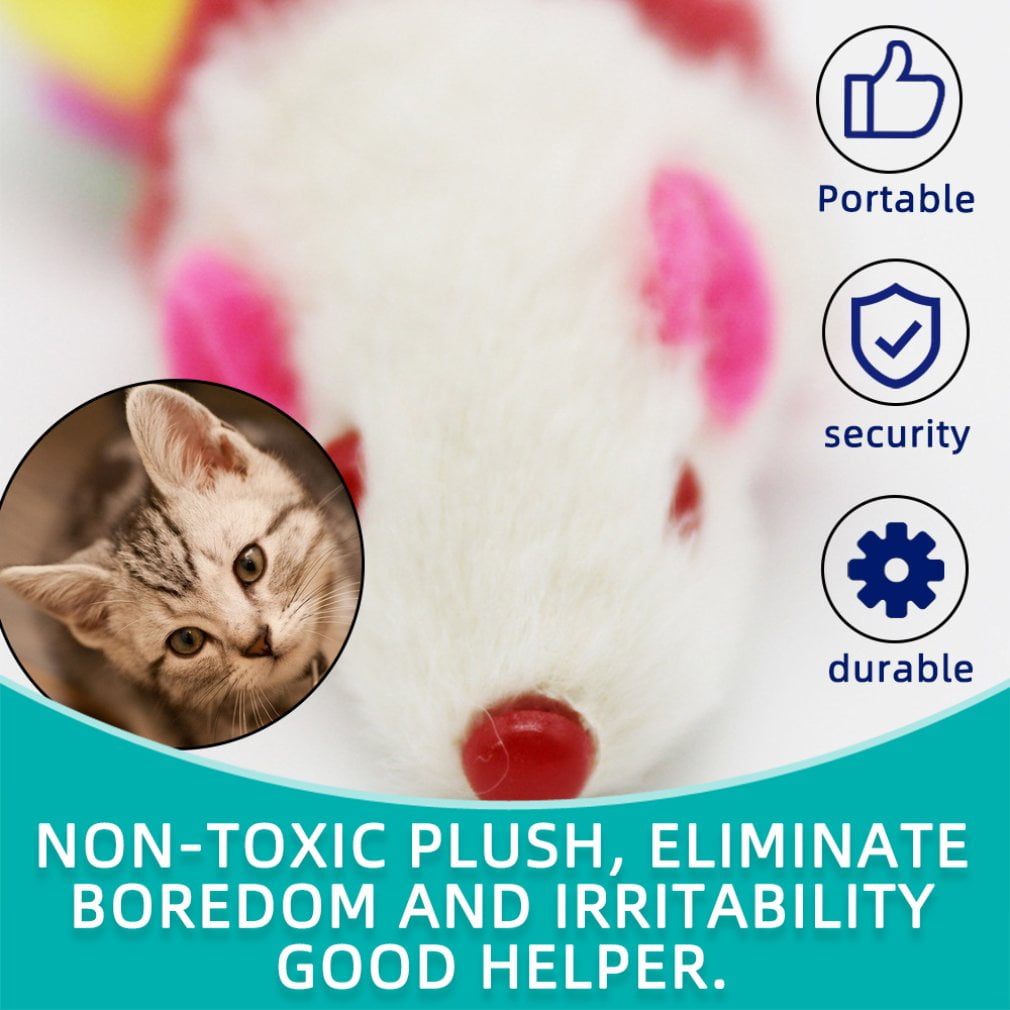 Mace Cats Walmart Canada