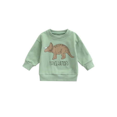 Toddler Baby Girls Boys Crewneck Dinosaur Sweatshirt Long Sleeve Pullover Tops Sweater Shirts 1-6Y
Toddler Baby Girls Boys Crewneck Dinosaur Sweatshirt Long Sleeve Pullover Tops Sweater Shirts 1-6Y