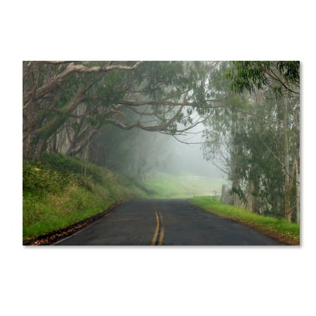 Trademark Fine Art 'Foggy Road near Dillon Beach' Canvas Art by Mike Jones Photo
