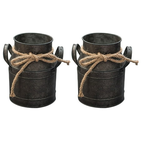 2pcs Flower Bucket Retro Iron Bucket Flower Pot Vase Ornaments Milk Pot Bucket
2pcs Flower Bucket Retro Iron Bucket Flower Pot Vase Ornaments Milk Pot Bucket