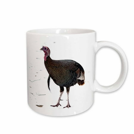 3dRose WILD TURKEY Ceramic Mug 11-ounce