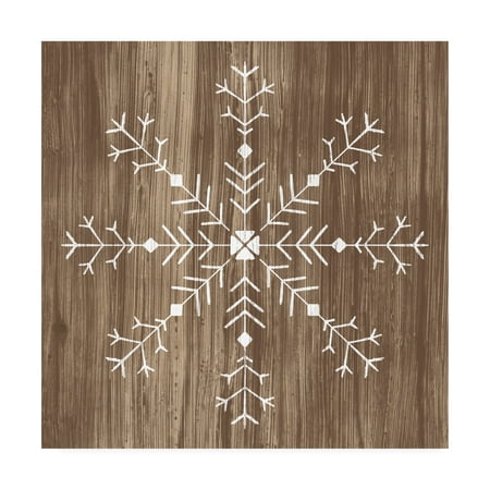 Trademark Fine Art 'Barnwood Wonderland I' Canvas Art by June Erica Vess