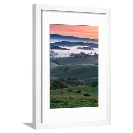 Spring Hills With Fog Petaluma Sonoma California Framed Print Wall Art By Vincent James