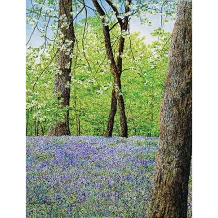Blue Bells Stretched Canvas - James Redding (22 x 28)