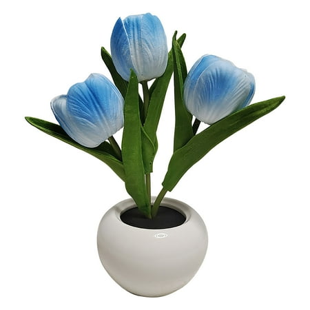 HANUUAZ Household Appliances Lamp Lights 2023 New Table Lamp Desk Lamp Led Simulation Night Light with Vase Table Lamp Ornaments for Home Living Room Desktop Decor for Home Decor (Sky Blue)
HANUUAZ Household Appliances Lamp Lights 2023 New Table Lamp Desk Lamp Led Simulation Night Light with Vase Table Lamp Ornaments for Home Living Room Desktop Decor for Home Decor (Sky Blue)