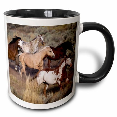 

3dRose USA Oregon Seneca Ponderosa Ranch. Horses - US38 BJA0382 - Jaynes Gallery - Two Tone Black Mug 11-ounce