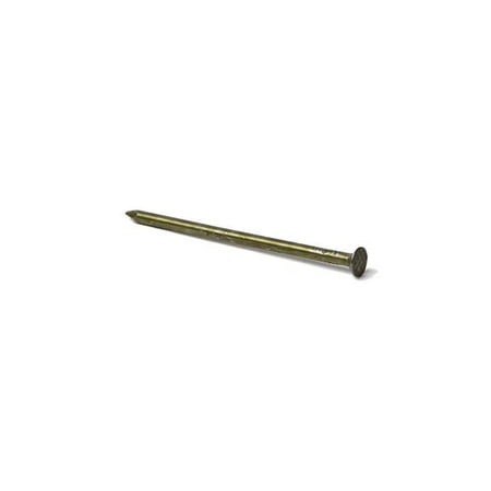 20D 3.75 in. Sinker Vinyl Steel Nail Flat 50 lbs