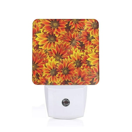Sigee Sunflower4 for Night Lights Plug into Wall Dusk to Dawn Sensor Warm White Led Night Light 0.5W for Kid Hallway
Sigee Sunflower4 for Night Lights Plug into Wall Dusk to Dawn Sensor Warm White Led Night Light 0.5W for Kid Hallway