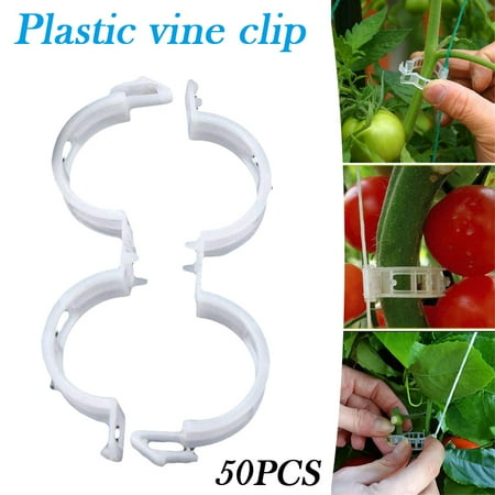 Plant Support Clips Garden Trellis Durable Vegetable Supports Clips Makes Crop to Grow Upright and Healthier For Plants New
Plant Support Clips Garden Trellis Durable Vegetable Supports Clips Makes Crop to Grow Upright and Healthier For Plants New