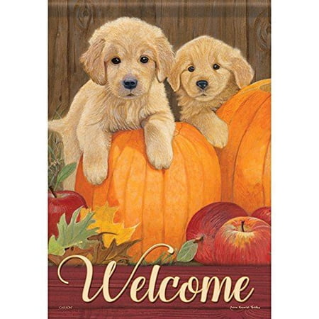 Carson Garden Flag - Pumpkin Pups
