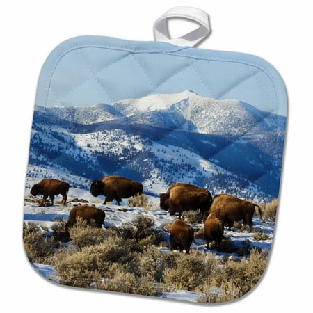 3dRose Bison Herd Yellowstone National Park - Pot Holder 8 by 8-inch