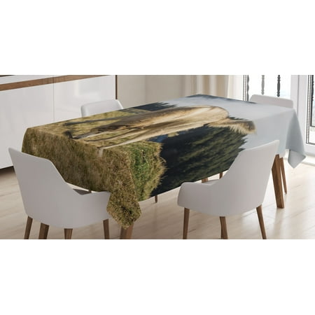 Alaskan Malamute Tablecloth Purebred Dog Foggy Mountains Trees Faithful Companion Rectangular Table Cover for Dining Room Kitchen 52 X 70 Inches Light Brown Dark Green Beige by Ambesonne
Alaskan Malamute Tablecloth Purebred Dog Foggy Mountains Trees Faithful Companion Rectangular Table Cover for Dining Room Kitchen 52 X 70 Inches Light Brown Dark Green Beige by Ambesonne