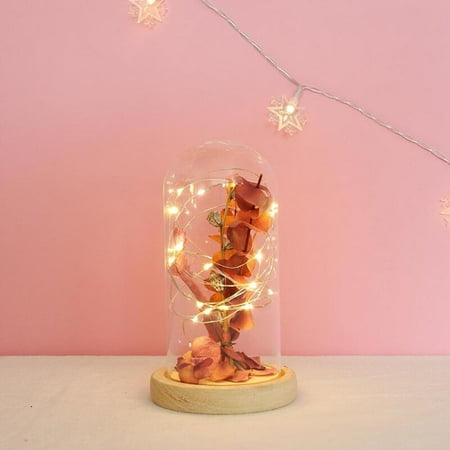 Okatree Night Light Glass Cover Leaf Tree Branch With Lamp Glass Cover Night Light Valentine s Day Gift Home Decoration Lighting Girl Lamp
Okatree Night Light Glass Cover Leaf Tree Branch With Lamp Glass Cover Night Light Valentine s Day Gift Home Decoration Lighting Girl Lamp
