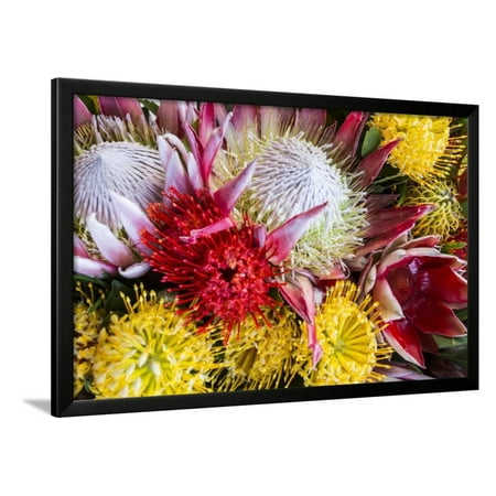 Wild Flowers of Hawaii Framed Print Wall Art By Terry Eggers