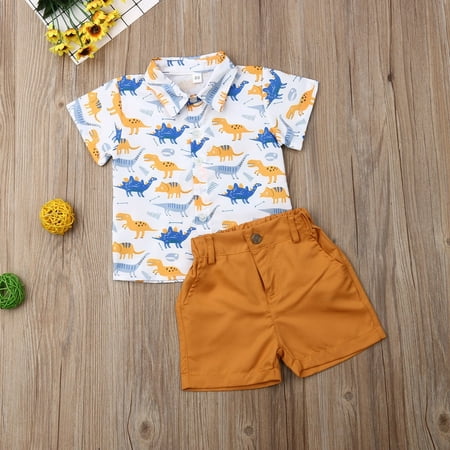 Summer 2PCS Toddler Kids Baby Boys Tops T-shirt Dinosaur Pants Shorts Outfits Clothes Set 1-6Y
Summer 2PCS Toddler Kids Baby Boys Tops T-shirt Dinosaur Pants Shorts Outfits Clothes Set 1-6Y